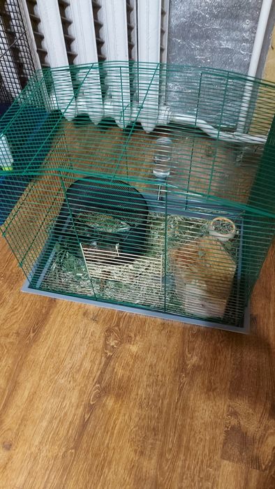 Продам клітку для пацюка щура гризунів дегу