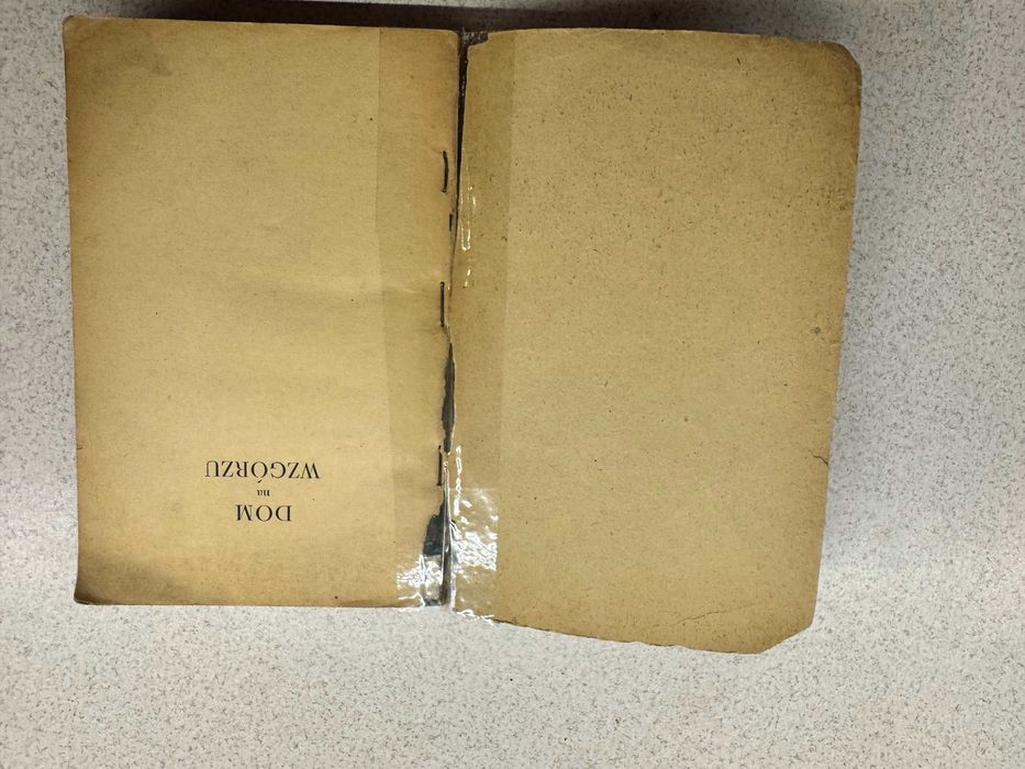 Książka Dom na Wzgórzu Aleksiej Musatow