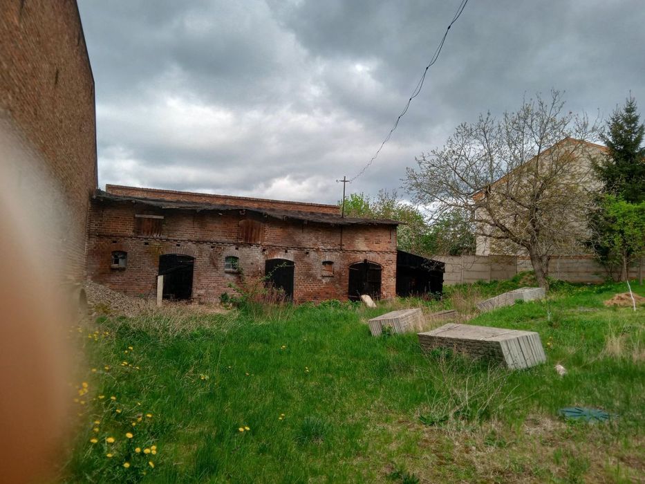 Zdjęcie 6