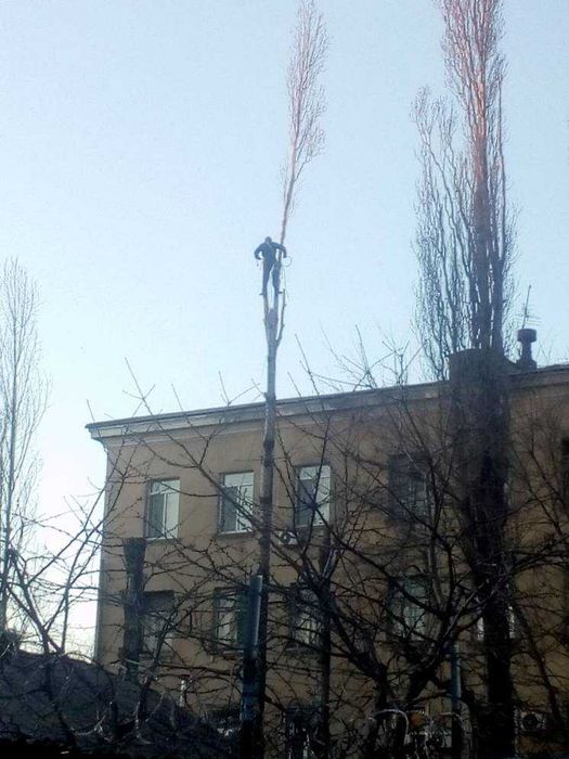 Спилити Обрізати Дерево Чернівці.Чистка ділянок.