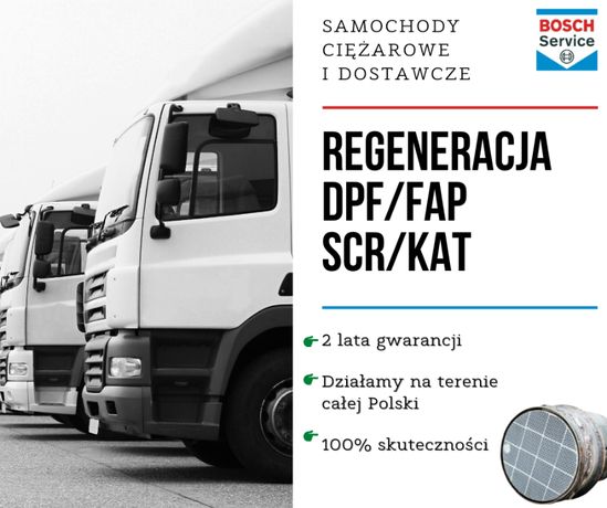 Scania w Kielce OLX.pl
