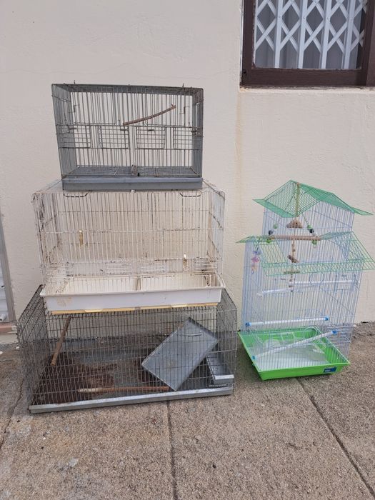 Várias gaiolas para pássaros