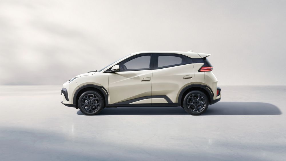 Zdjęcie w galerii numer 6