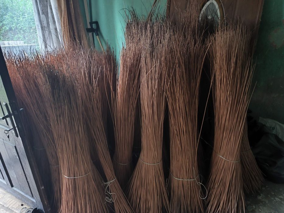 Wiklina sucha 120-200cm