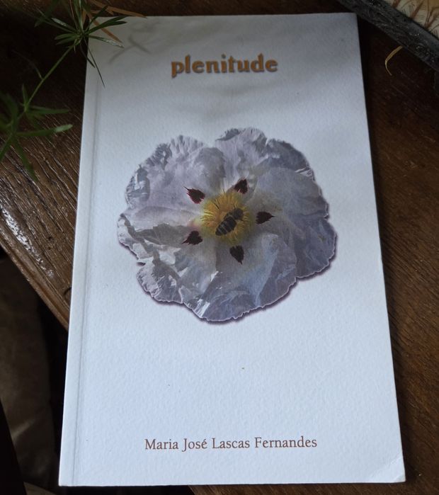 Livro Plenitude de Maria José Lascas Fernandes