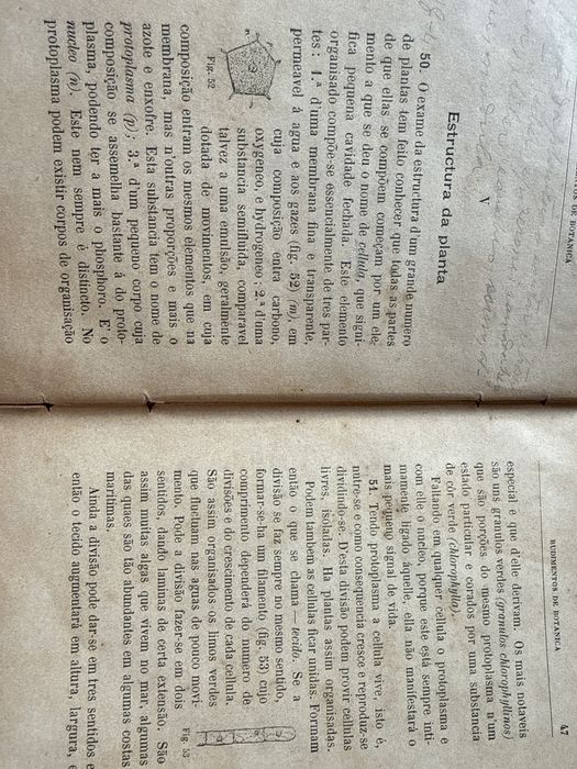 Livro antigo de 1898 – Rudimentos de Botânica e de Agricultura