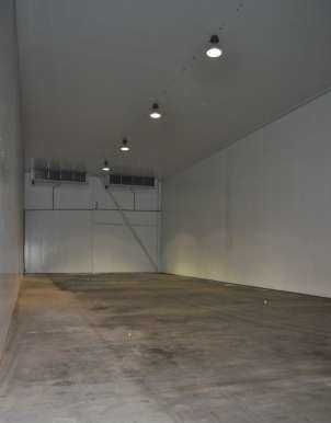 Сдам холодильный, морозильный склад