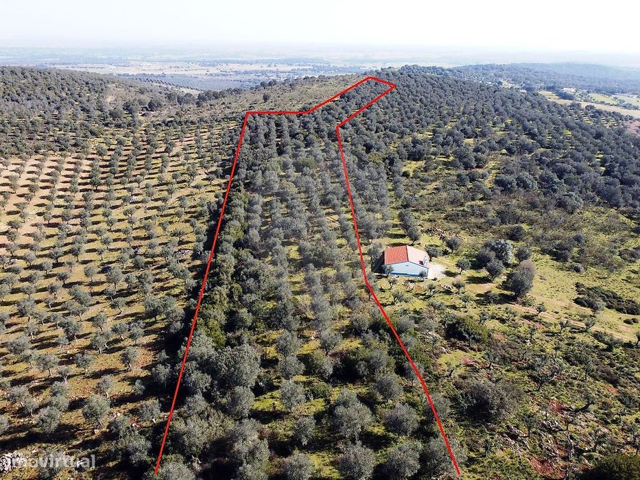 Terreno  para venda — Ameixial (Santa Vitória E São Bento), Évora