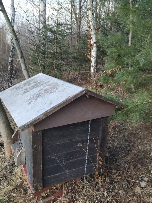 Naturalny miód lipowy i wielokwiatowy