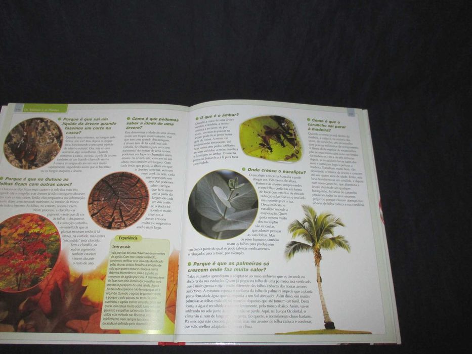 O Grande Livro das 555 Perguntas