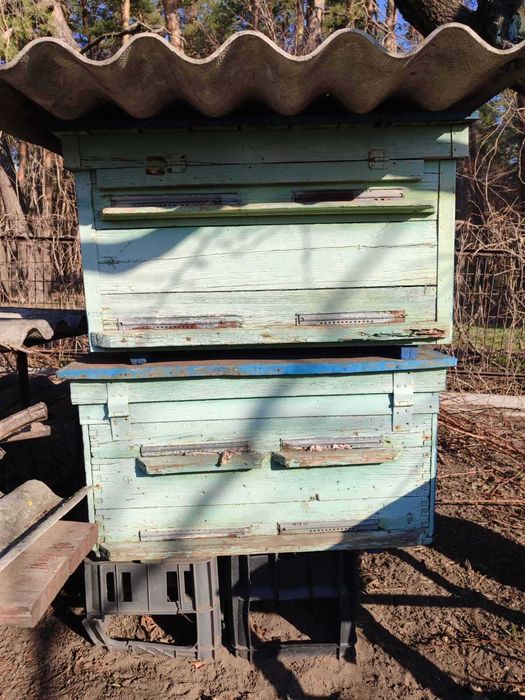 Продам дерев'яні вулики