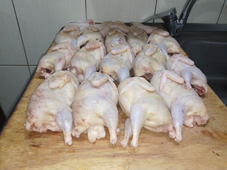 Продаю домашніх бройлерів та перепілок