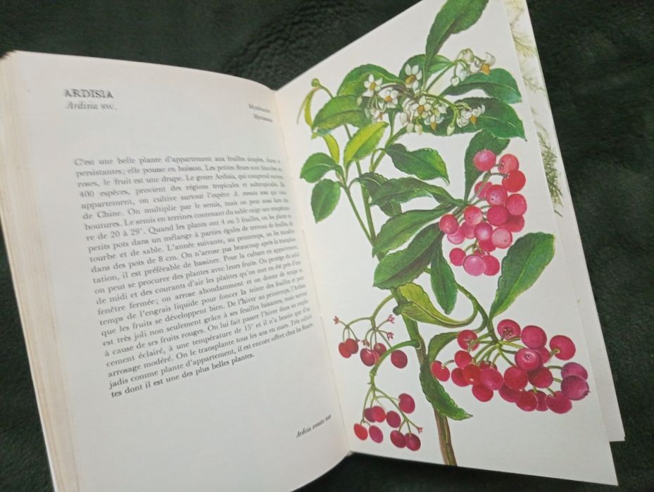 Plantes D' Appartement - Atlas Illustré de Jaroslav Oplt Relié	1976