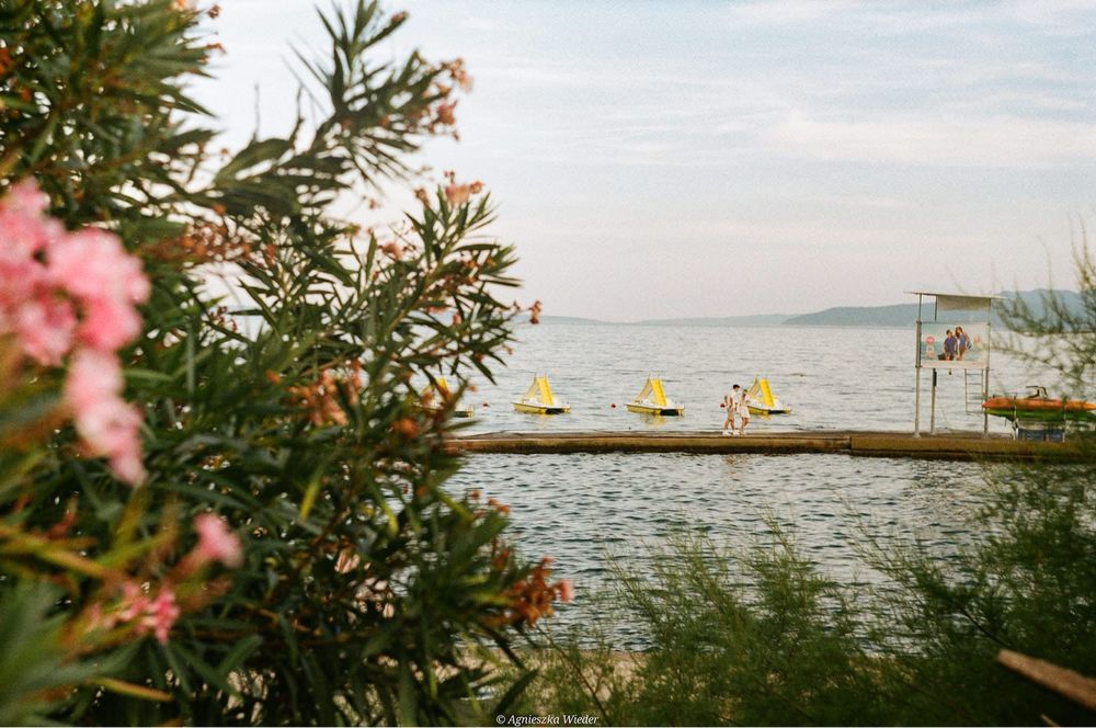 Aparat analogowy Zenit 12xp