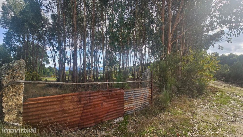 Terreno  Nelas — Nelas, Viseu