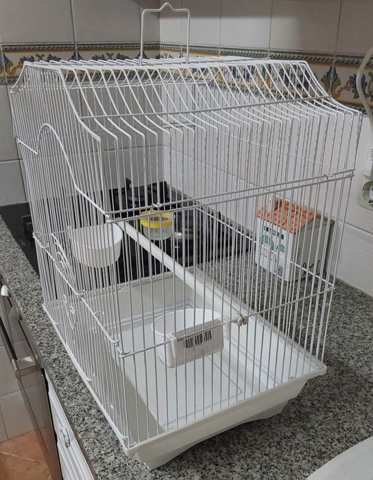 GAIOLA PRONTA A USAR,AVES PEQUENO PORTE. Casa,Varanda,Quarto,Cozinha.