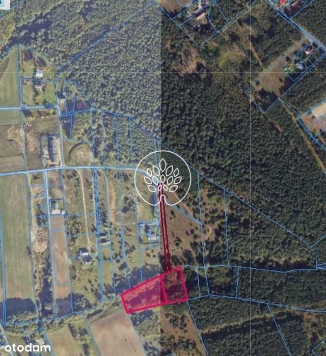 8200 m² z MPZP i Warunkami Zabudowy