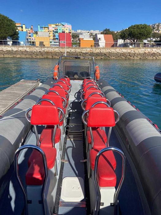 Semi-Rígido Narwhal