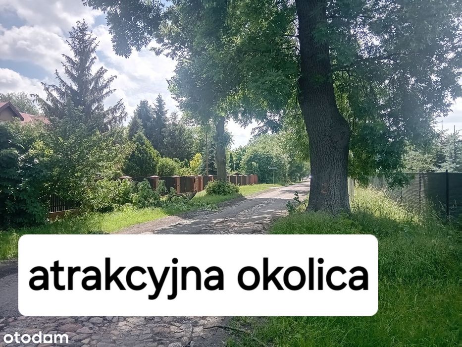 Działka budowlana pod Oleśnicą - Widok 2