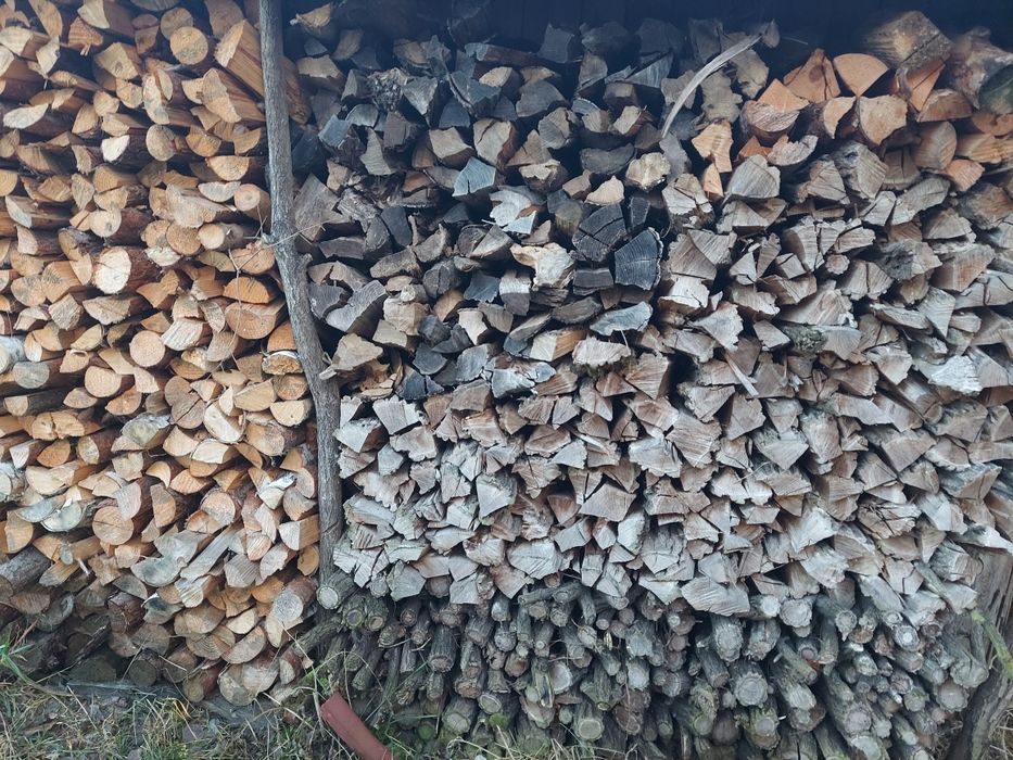 Drzewo opałowe sosna, akacja, brzoza