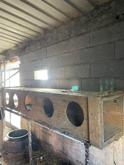 Ninhos em madeira para galinhas e perus patos etcc..