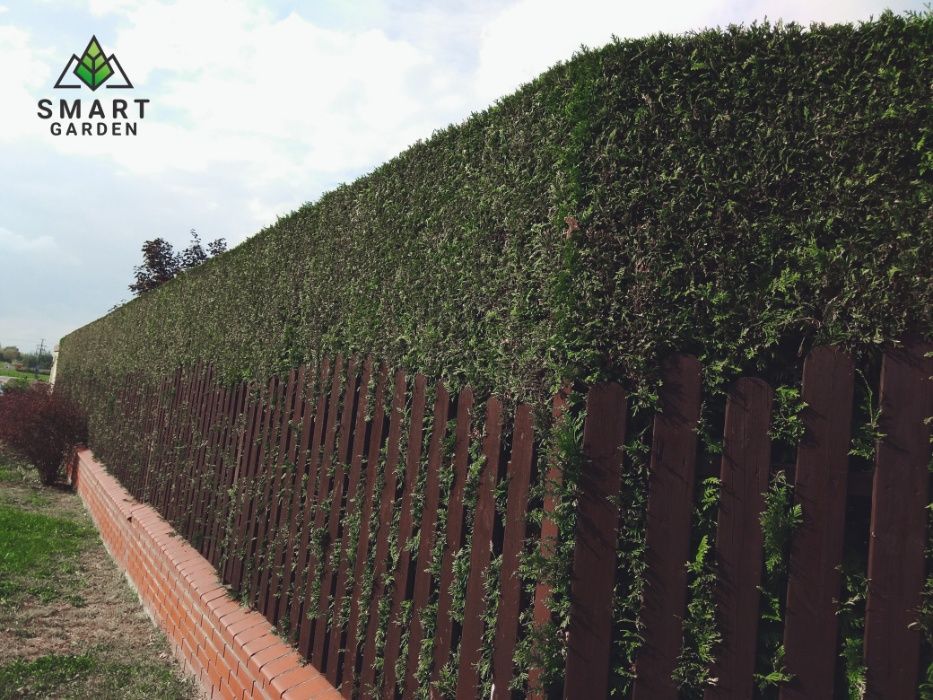Smart Garden / Usługi ogrodnicze / Nawadnianie  Warszawa