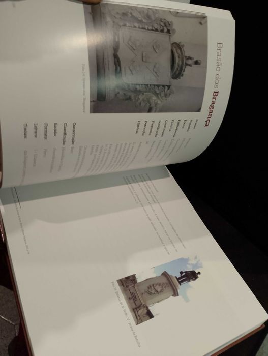 Brasões e Pedras de Armas da Cidade do Porto - Manuel Cunha