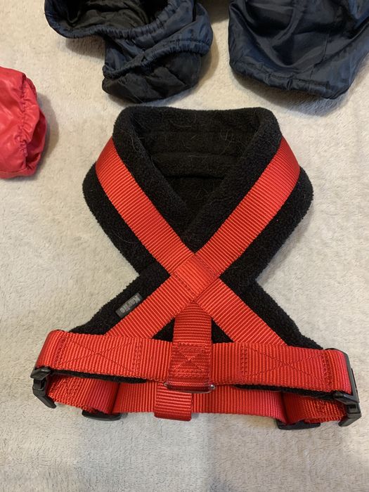 Речі для маленьких собак
