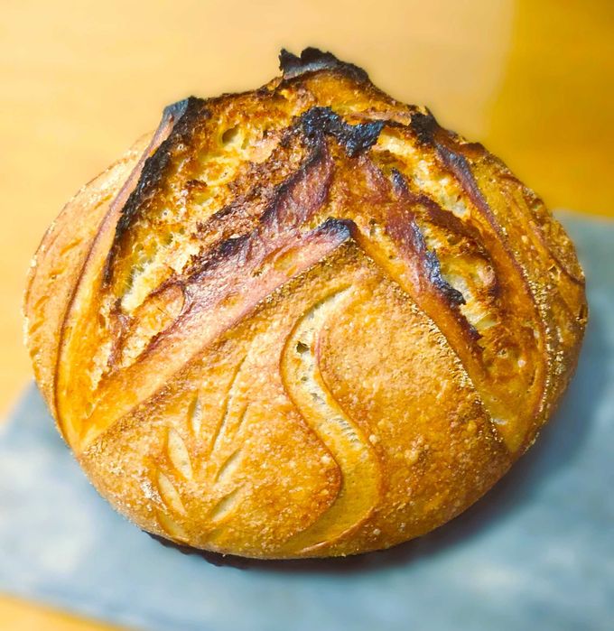 Venda/Troca BIO Pão Artesanal Massa Mãe