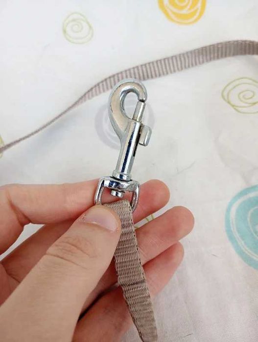 Trela de cão / gato curta