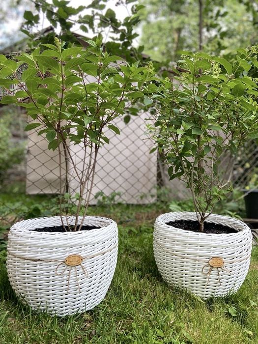 Кашпо з штучного ротангу, корзина, ротанг , горщик, кашпо