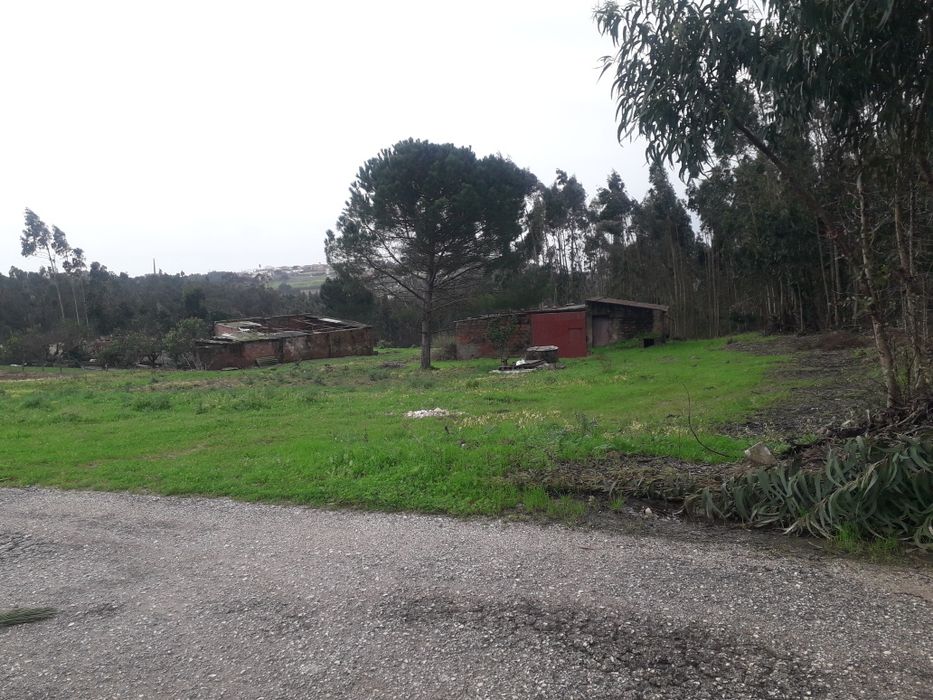 Terno com armazém em ruína