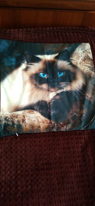 Чехли для диванних подушок