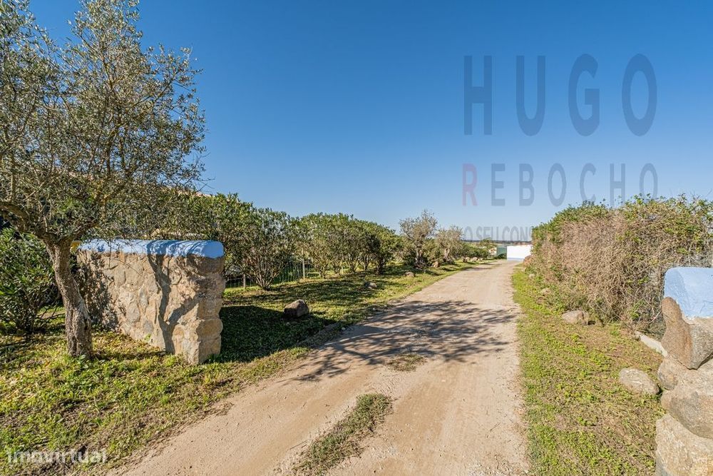 Vende-se Quinta/ Hotel canino, Nossa Senhora de Machede, Évora