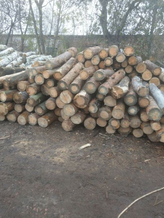 Дрова різних порід