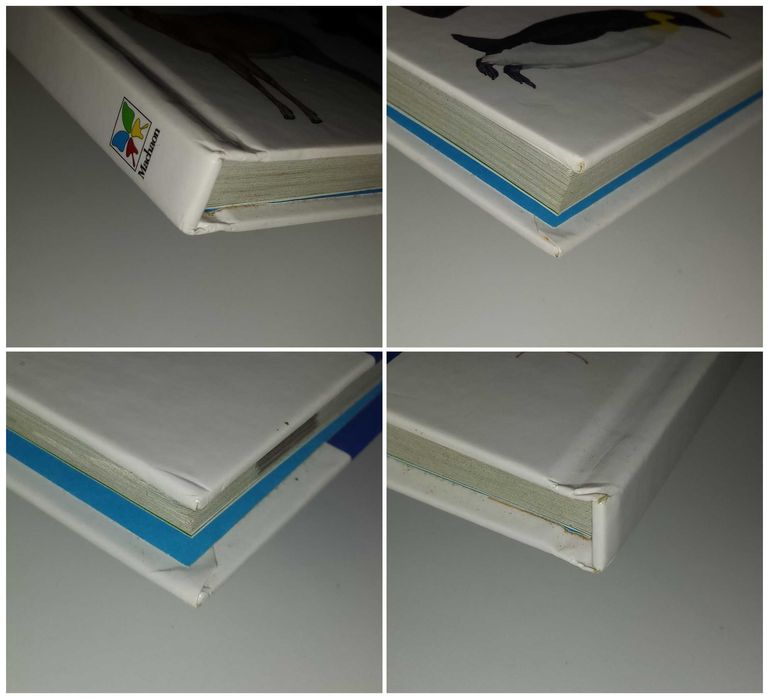 Детские книги Энциклопедии Животные енциклопедія Махаон