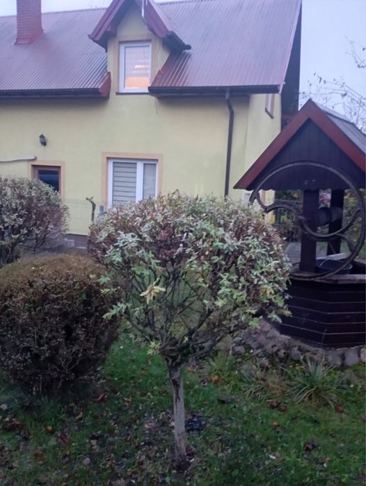 Wynajmę dom/parter 65 m²