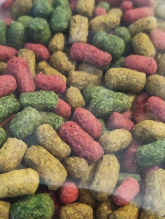 Продам Корм для рибок