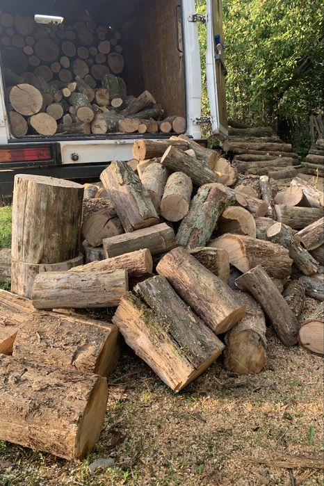 Соснові дрова 1300