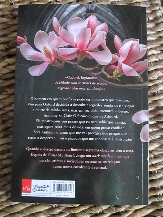 Break My Rules - Quebra as Minhas Regras de Roxy Sloane (Oferta portes)
