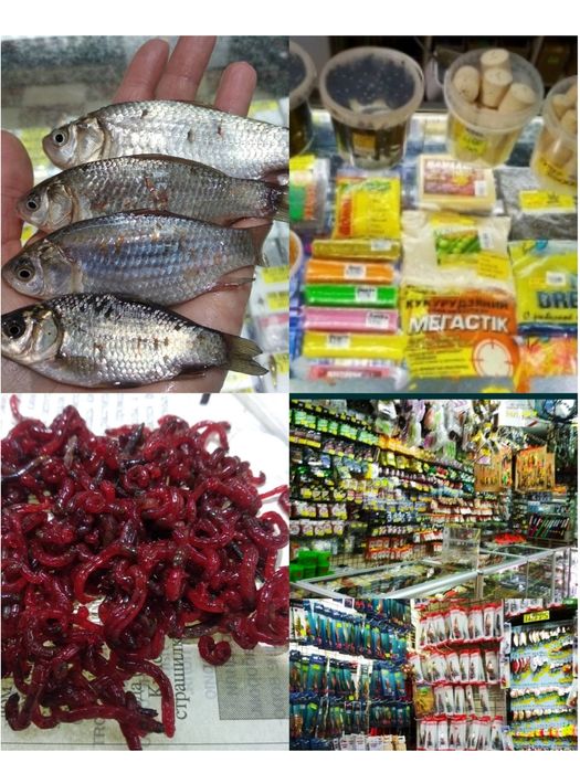 живець  на рибалку карасик 4-10см