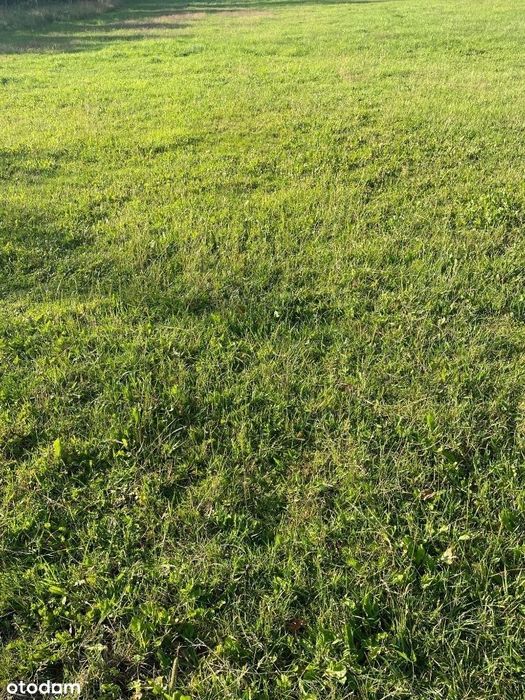 Ustronie /Sianożęty Nowe Działki nad morzem od 300 do 5000m2