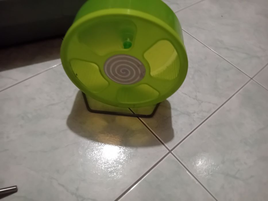 Kit de gaiola  para porcos da india