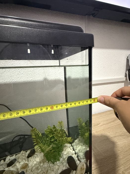 Aquário em otimas condições