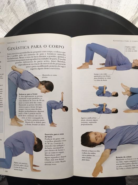 O Grande Livro da Gravidez