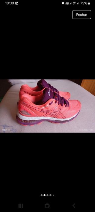 Asics Gel-Nimbus 19