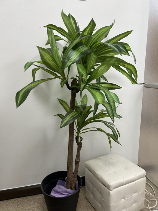 Árvores decorativas – 2 unidades