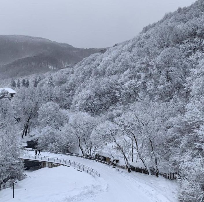 Здаються апартаменти біля санаторію "Квітка полонини".