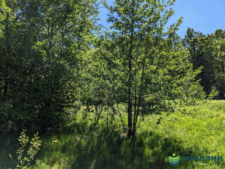 Продаж земельної ділянки 9 сот в с. Нова Гута (8)