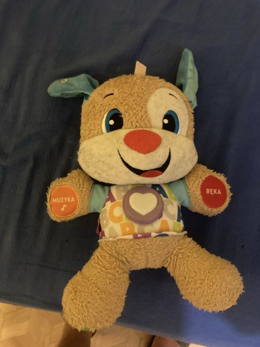 Szczeniaczek uczniaczek